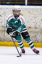 Klik for at se eller bestil foto