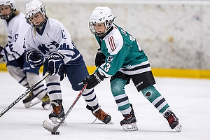 Klik for at se eller bestil foto