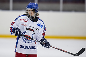 Klik for at se eller bestil foto