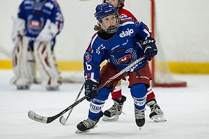 Klik for at se eller bestil foto