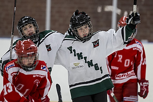 Klik for at se eller bestil foto