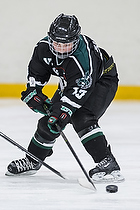 Klik for at se eller bestil foto