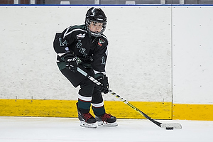 Klik for at se eller bestil foto