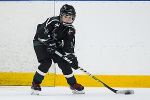 Klik for at se eller bestil foto