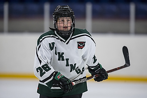 Klik for at se eller bestil foto