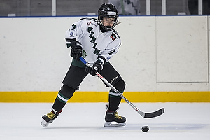 Klik for at se eller bestil foto