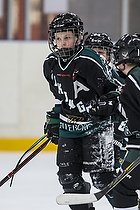 Klik for at se eller bestil foto