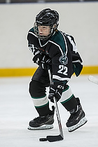 Klik for at se eller bestil foto