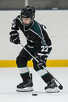 Klik for at se eller bestil foto