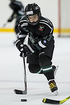 Klik for at se eller bestil foto