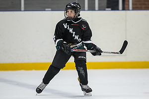 Klik for at se eller bestil foto