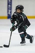 Klik for at se eller bestil foto