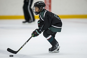 Klik for at se eller bestil foto