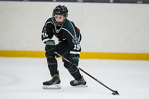 Klik for at se eller bestil foto