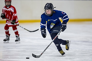 Klik for at se eller bestil foto