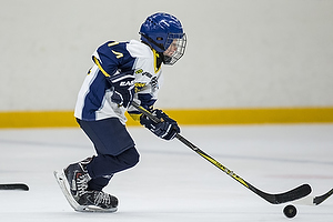 Klik for at se eller bestil foto