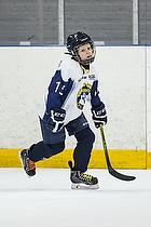 Klik for at se eller bestil foto