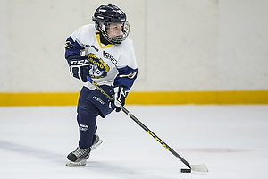 Klik for at se eller bestil foto