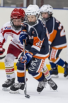 Klik for at se eller bestil foto