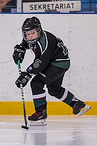 Klik for at se eller bestil foto