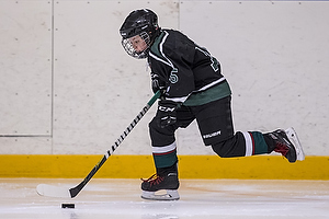 Klik for at se eller bestil foto