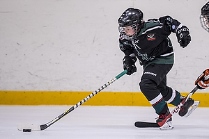 Klik for at se eller bestil foto