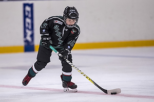 Klik for at se eller bestil foto