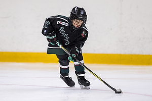 Klik for at se eller bestil foto