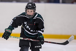 Klik for at se eller bestil foto