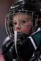 Klik for at se eller bestil foto