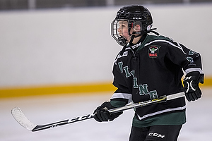 Klik for at se eller bestil foto