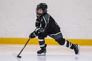 Klik for at se eller bestil foto