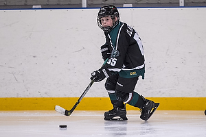 Klik for at se eller bestil foto