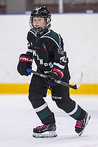 Klik for at se eller bestil foto