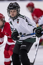 Klik for at se eller bestil foto