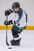 Klik for at se eller bestil foto