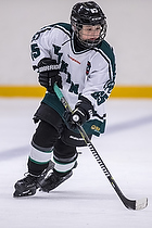 Klik for at se eller bestil foto