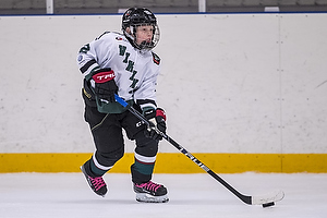 Klik for at se eller bestil foto