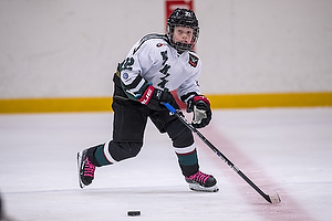 Klik for at se eller bestil foto