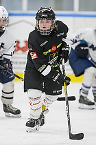 Klik for at se eller bestil foto