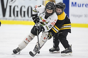 Klik for at se eller bestil foto