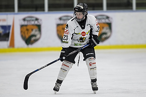 Klik for at se eller bestil foto