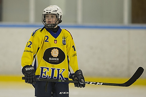 Klik for at se eller bestil foto