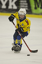 Klik for at se eller bestil foto