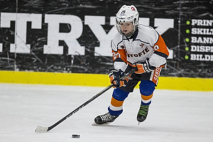 Klik for at se eller bestil foto