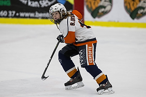 Klik for at se eller bestil foto