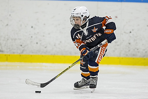 Klik for at se eller bestil foto