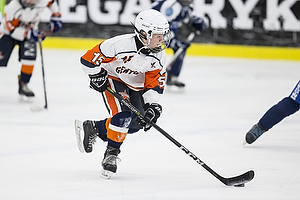 Klik for at se eller bestil foto