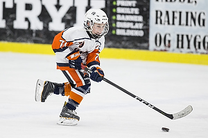 Klik for at se eller bestil foto