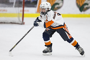 Klik for at se eller bestil foto